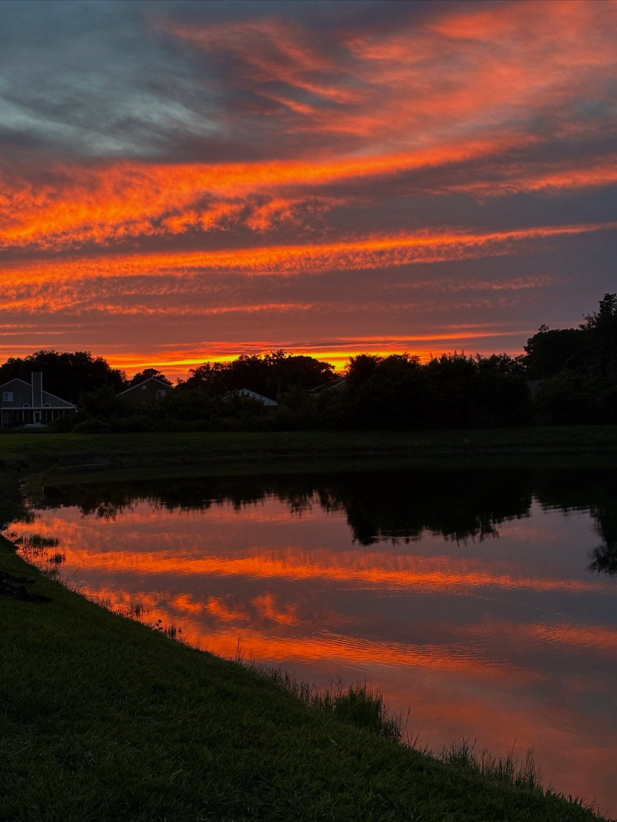 We are on a #sunset winning streak. 📷 Carol Hawley in New Port Richey #Florida