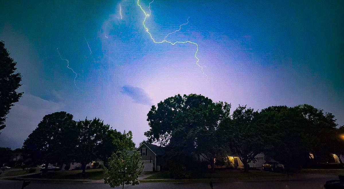 Harry Nostrant tweet media