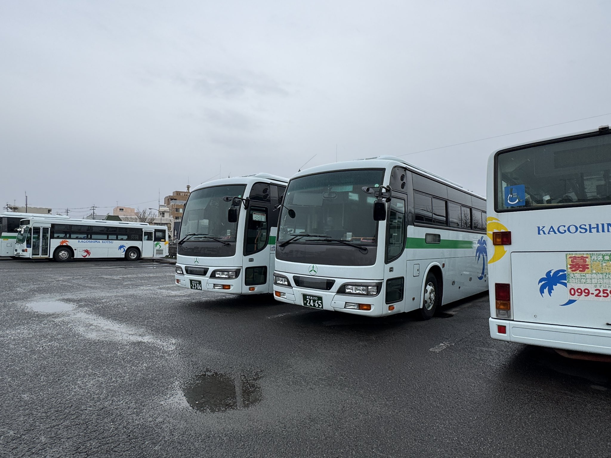 小鹿 人気を誇る 654042c20eb6050b193f8cab.jpg 女性情報誌 - 女性情報誌