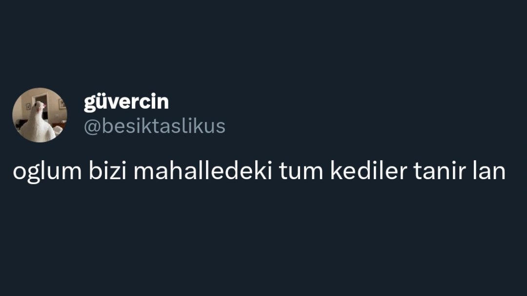 ANLIK (@anlikmod) on Twitter photo 