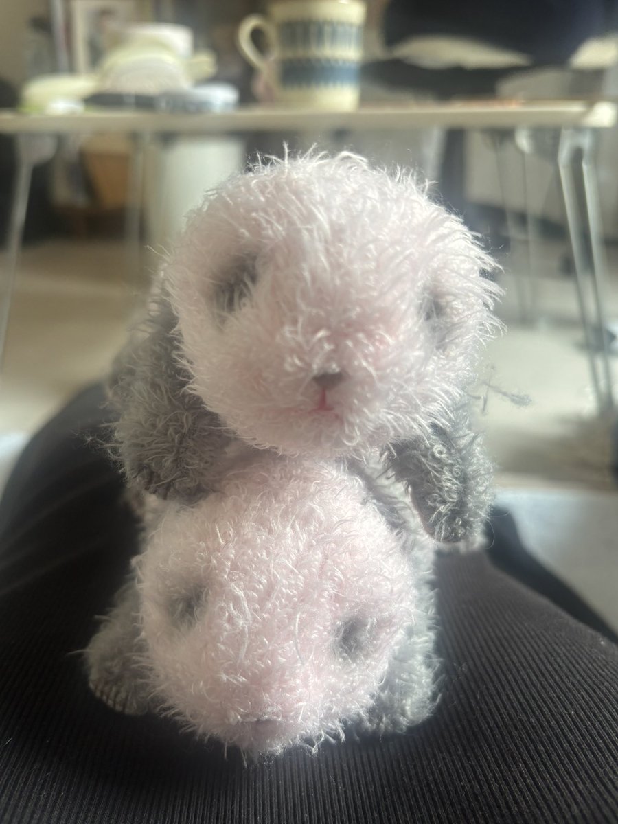 yuyu47810367184's tweet image. 0時近くに行ったのにあたたかく迎えてくれた友人宅のパンダの赤ちゃん👶🏻
2時近くまでお喋りしてた、学生気分に戻れた☺️