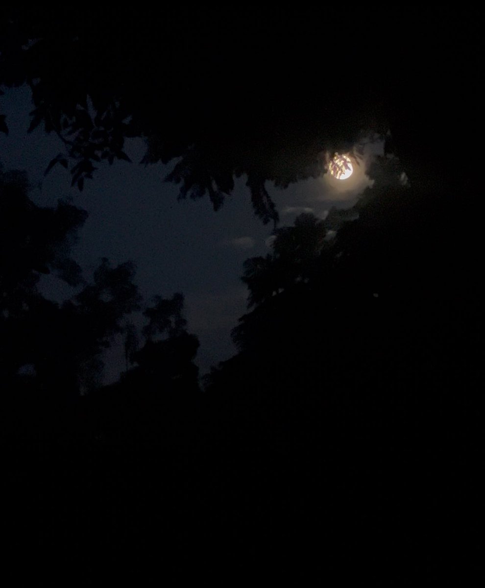 Cynnderela's tweet photo. Bien guapa que está la luna hoy. https://t.co/X3SqpTUogQ