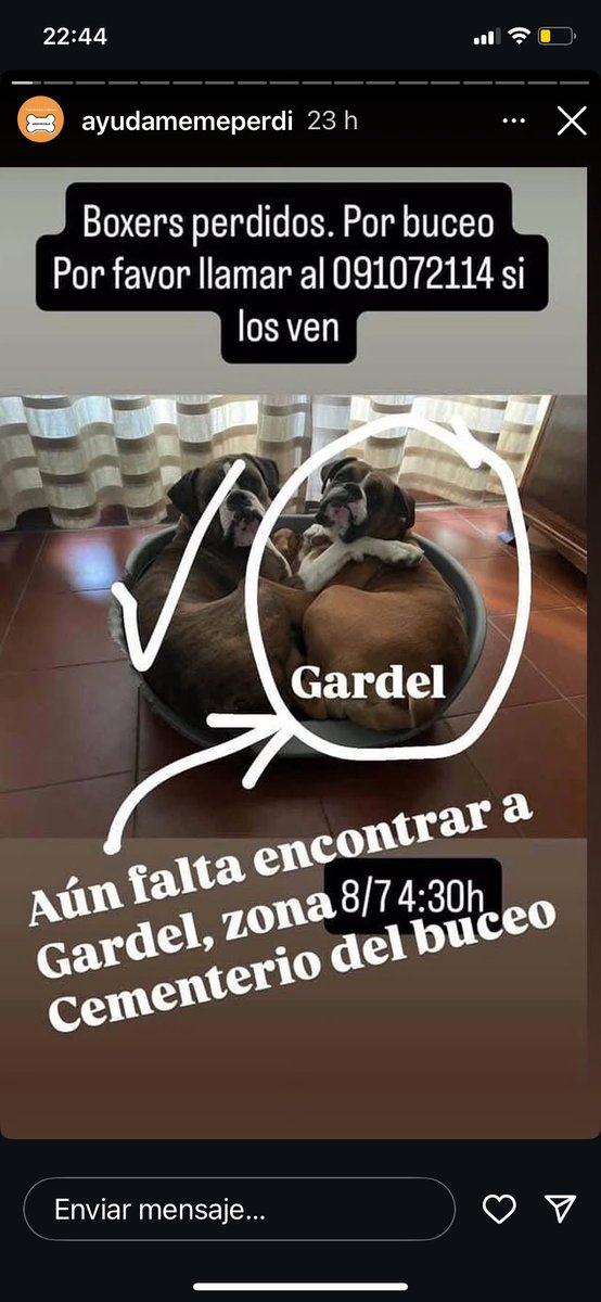 Adriana (@adriana43587622) on Twitter photo 