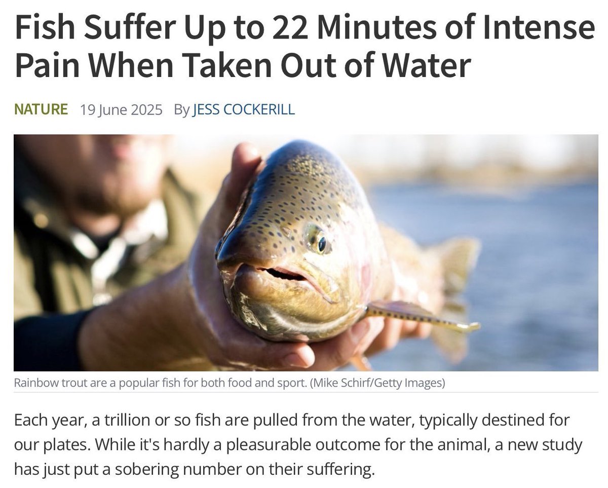 me when there’s a claude outage