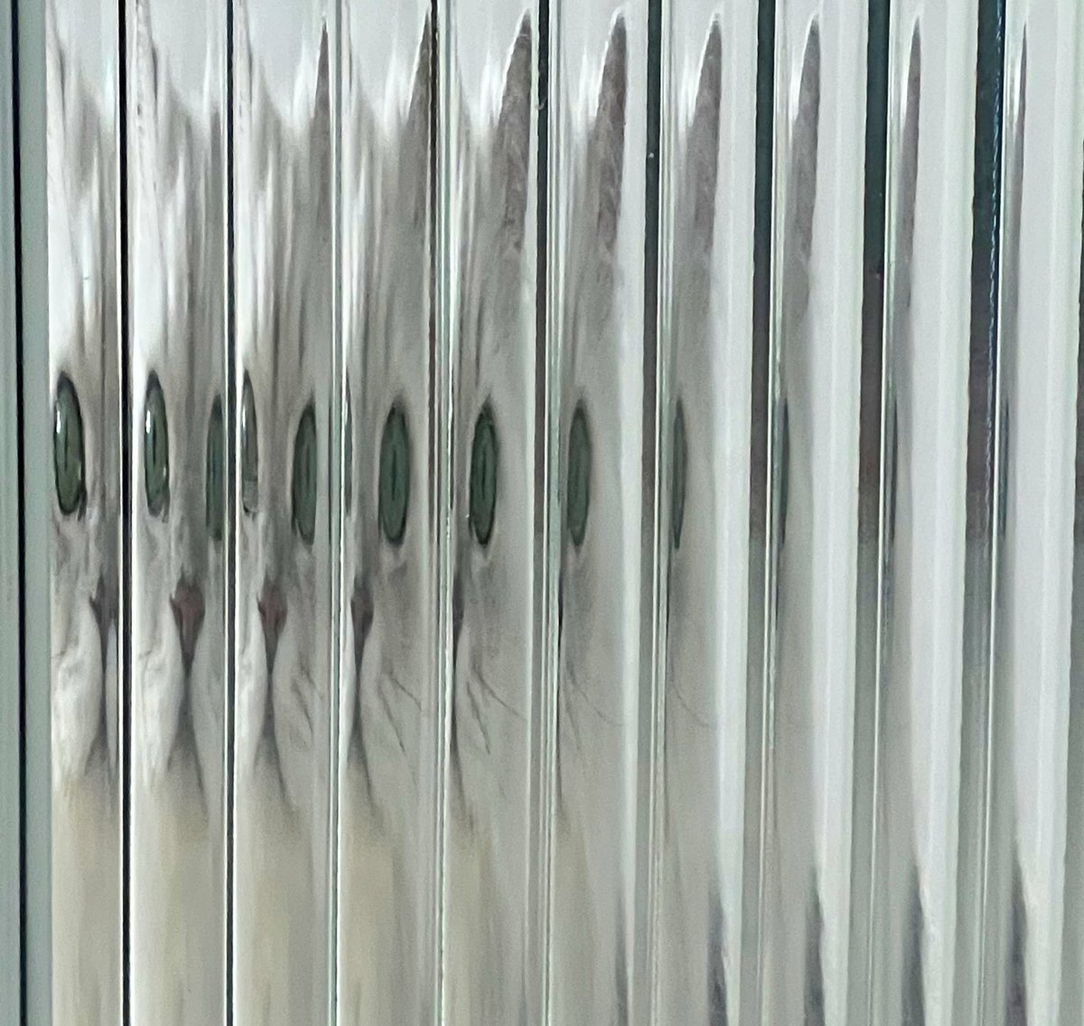 중문을 사이에 두고 인사.
오빠랑 잘 놀고 있어라.