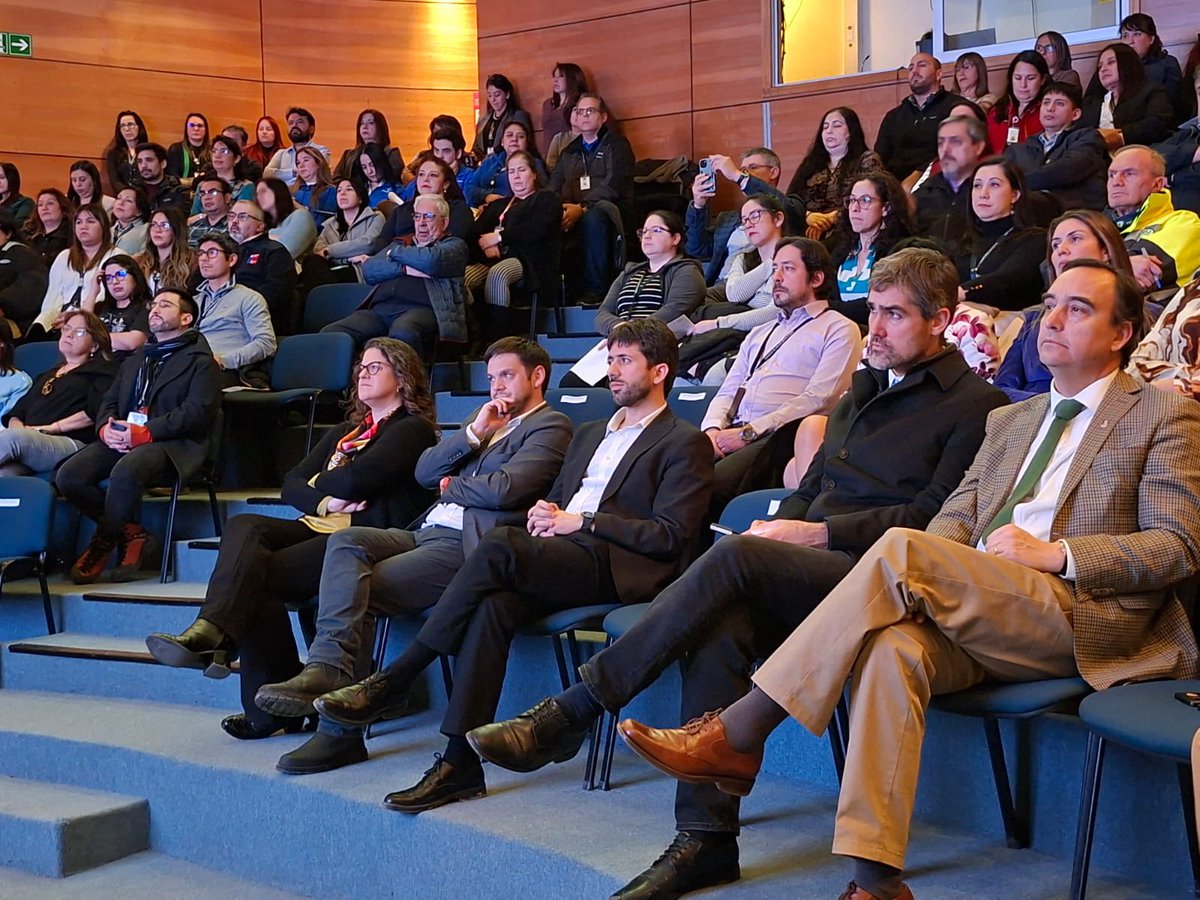 Salud Magallanes tweet media