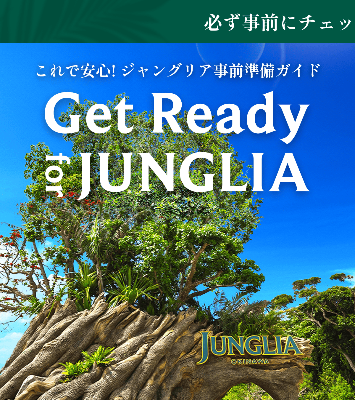 135：ブリヂストン　アンジェリーノアシスタ　ジャンク　引取限定：埼玉県所沢市 ジャングリア沖縄【公式】 on X: 