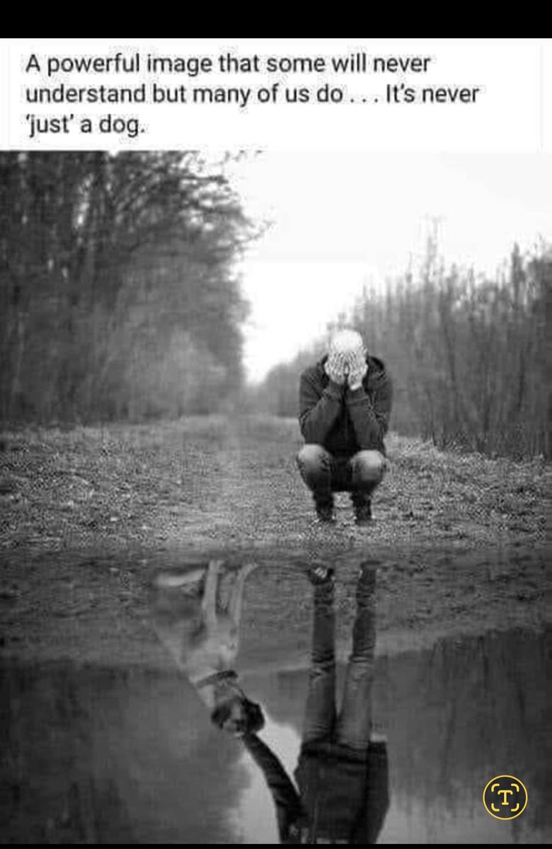 I completely understand💔, do you?