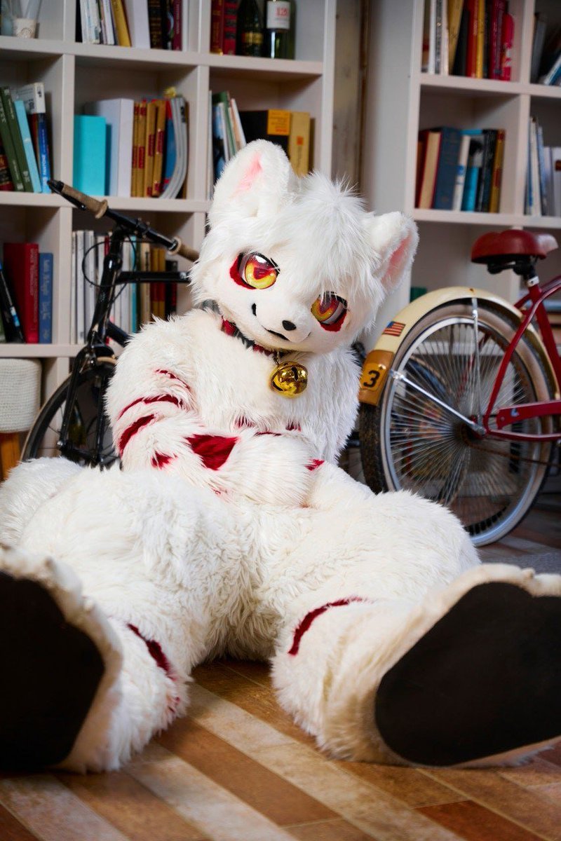 (^・ω・^ )
📸:<a href="/kemochuki/">Chuki</a>