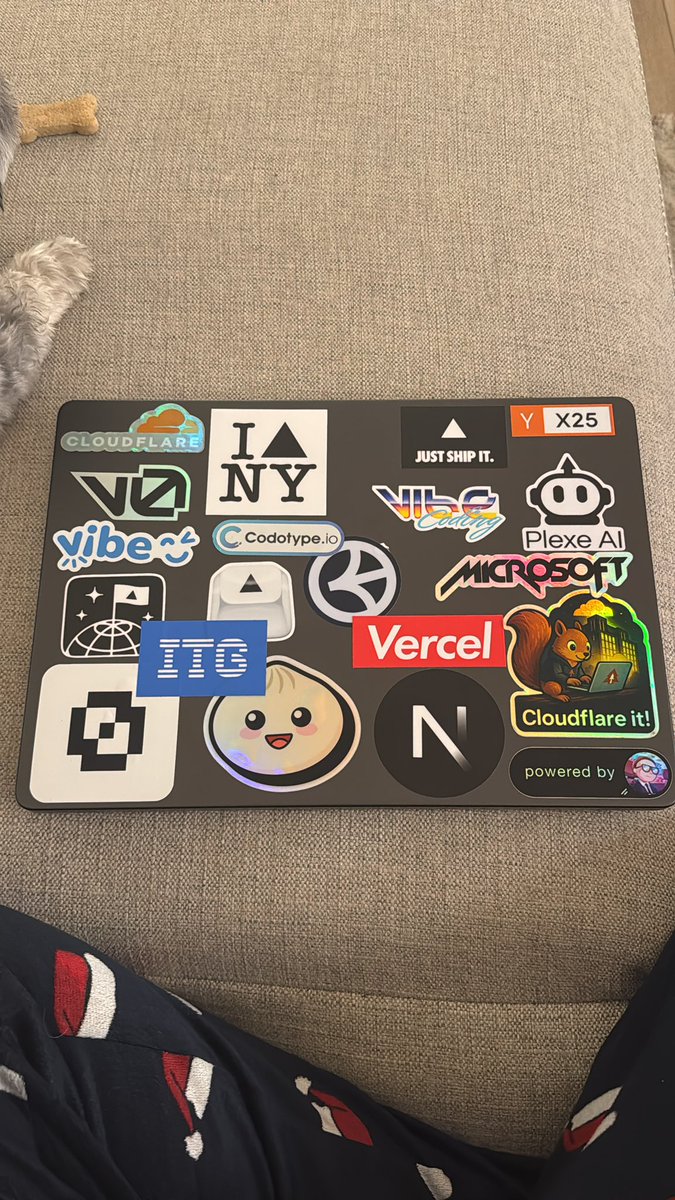 ngl i prolly have the best laptop stickers in all of sf