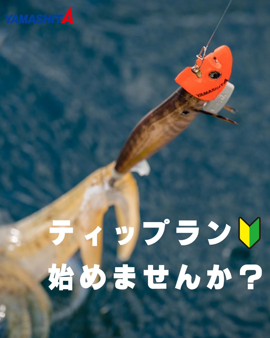 ティップラン用エギ 3.0号25g30g 9個DUELシンカーケースあわびシール YGK エックスブレイド(X-BRAID) D-PET AJING 200M 0.25号 1.3LB