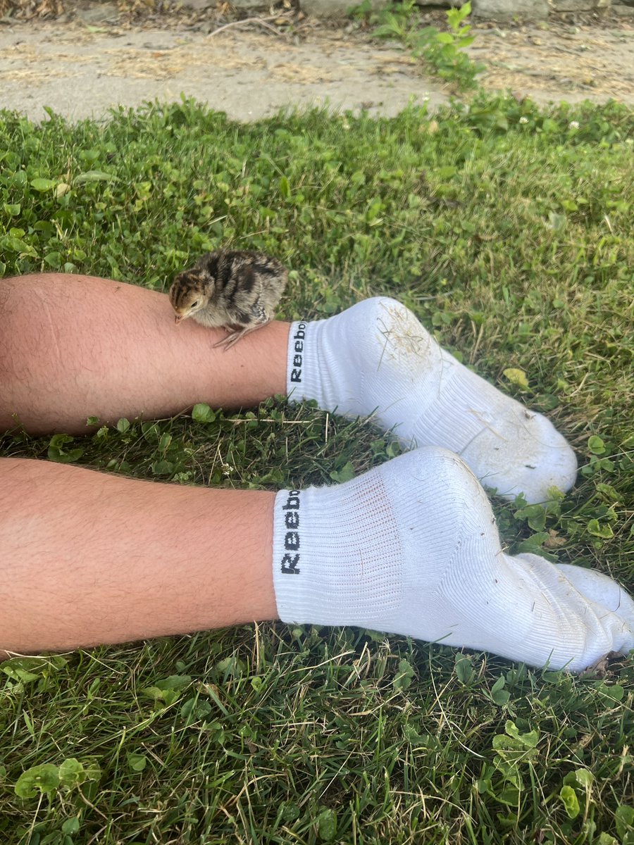 Sure <a href="/TonyPatelis/">Tony Patelis</a> walks his dog but I’m the real hero rescuing a baby pheasant.