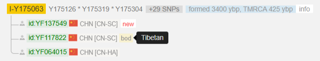 OkaymarGroyper's tweet photo. @krnjaaHRHB Random I1 Tibetan https://t.co/Cf2JuS6flB
