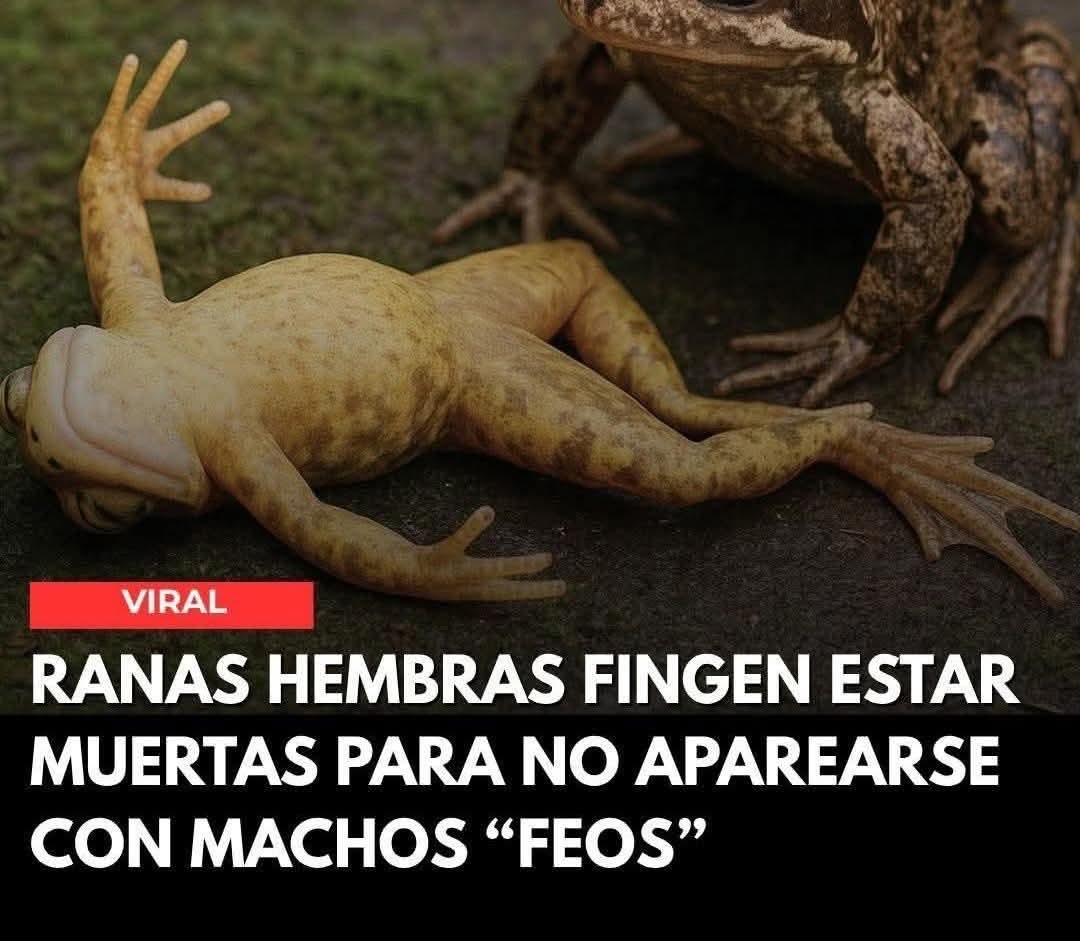 Ósea que las ranas también Ghostean