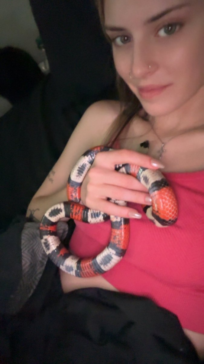 AlaskaJade69's tweet photo. Ik they can’t “love” back but he laid on my chest like this for hours so sweet https://t.co/1SO68iPjoz