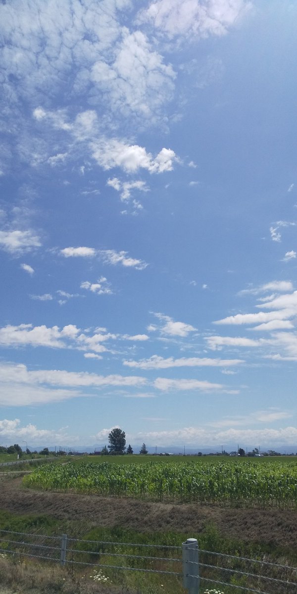 快晴☀️
目指すは沼田❗️
#ここキャン北海道