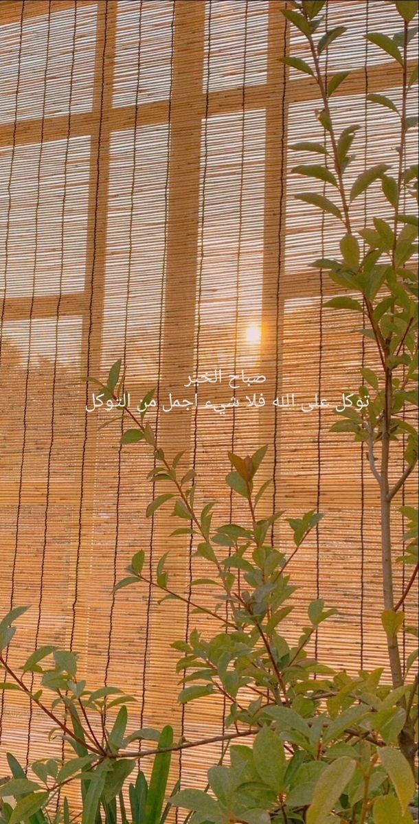 صُــبّحتـمْ بالأُنسِ والهدى

"أصبحنا نسألُك أن نُوفَّق في مساعينا، وأن يُكتب لنا الخير من حيث لا نحتسب فيها، وأن نسير في طريقنا آمنين مطمئنين، وأن نتذوّق بهجة الوصول والحصول"❤
#صباح_الخير_والسعاده