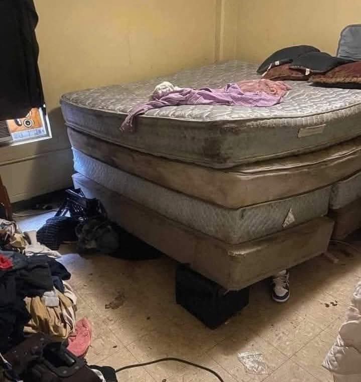 ‍ ‍ ‍ 𝑾𝑶𝑳𝑽𝑬𝑹𝑰𝑵𝑬 ␥ tweet media