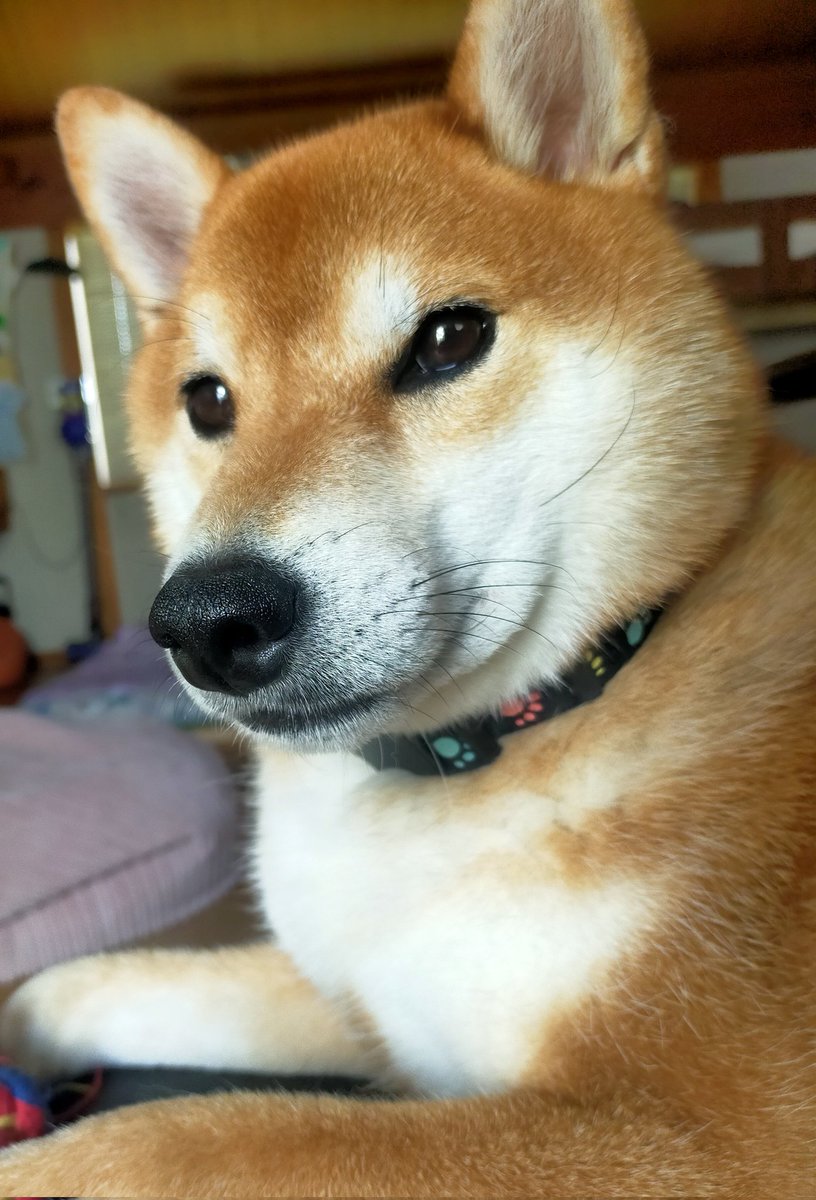 おはようございます🎵
いやもう昼か(笑)