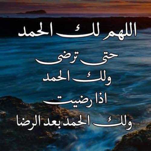 GRNAS__10's tweet photo. ، 
،
،
أصبحنا وأصبح الملك لله والحمد لله ♡
أللهم
إني أسألك يومآ تشرح فيه صدورنا
وتسعد فيه قلوبنا وترح فيه أفئدتنا
وترحمنا وتهدنا سواء السبيل 🤲🌹
،
#صباحكم_طاعة_الرحمن
#صباح_الخير_والسعاده_للجميع https://t.co/TTi5ZhjceQ