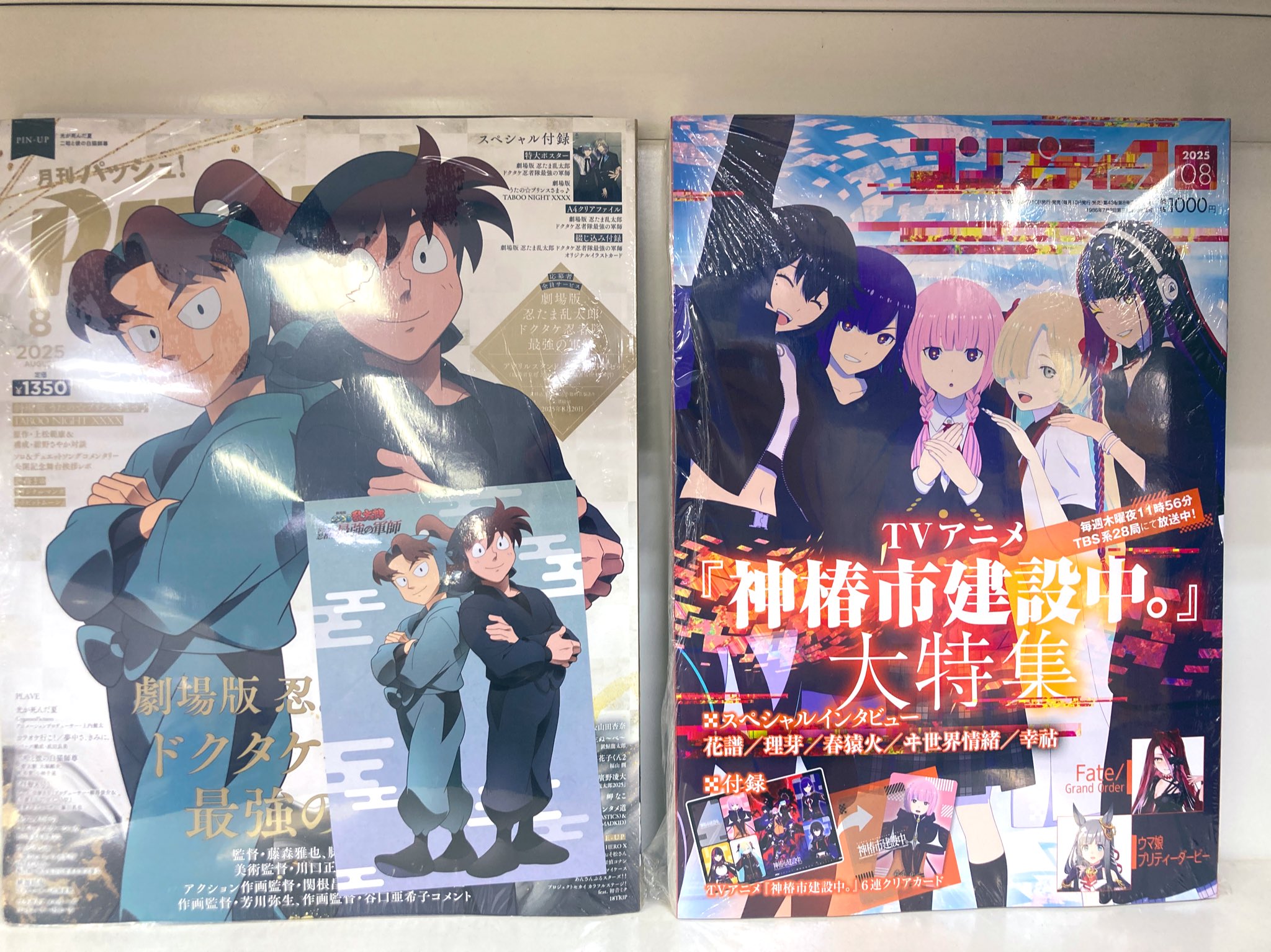 雑誌付録　 クリアファイル　ポスター　アニメージュ　アニメディア　PASH 雑誌付録 クリアファイル ポスター アニメージュ アニメディア PASH
