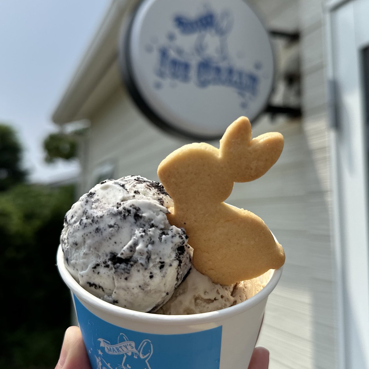 designinabano's tweet image. 当店オリジナルフレーバー販売開始

🍪ブラッククッキー&amp;amp;クリーム
しっかりバニラにクッキーのザクザク食感と甘さが嬉しい！雪の中遊ぶうさぎの足跡をイメージしたアイス

🫖セイロンティーラテ
豊かな紅茶の風味、ミルク感とマイルドなコクが美味しい紅茶好きさんに必ず食べてほしい　店主推しアイス