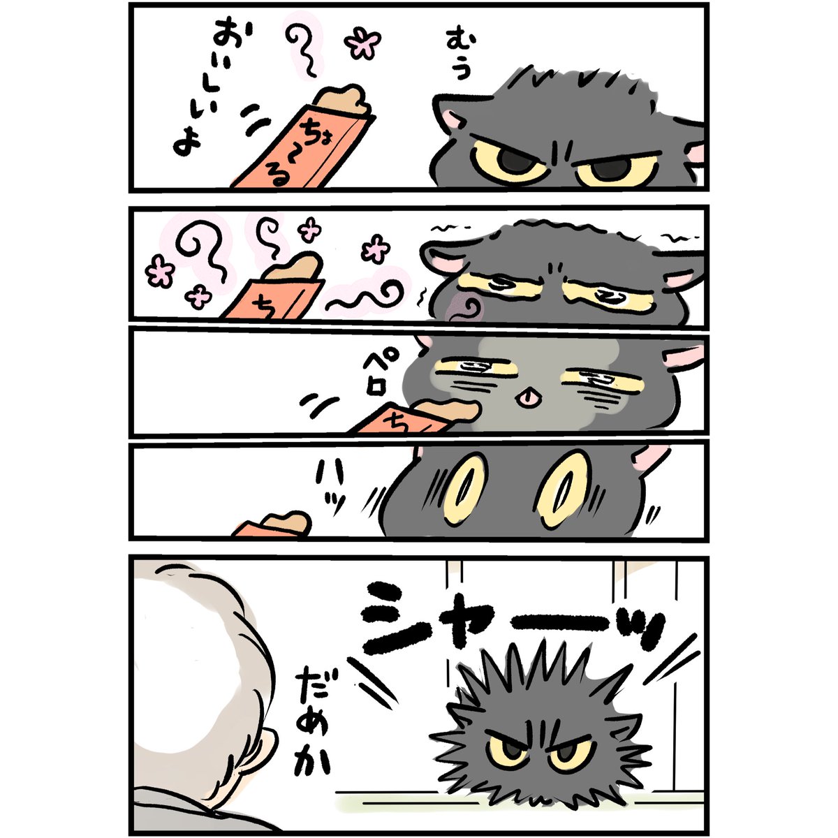 第三話 なつかない猫 葛藤
#なつかない猫 