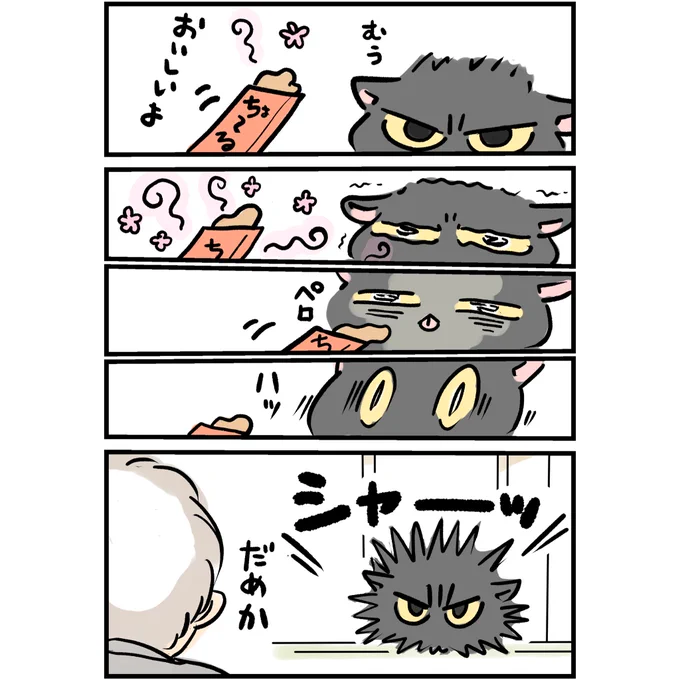 第三話 なつかない猫 葛藤
#なつかない猫 