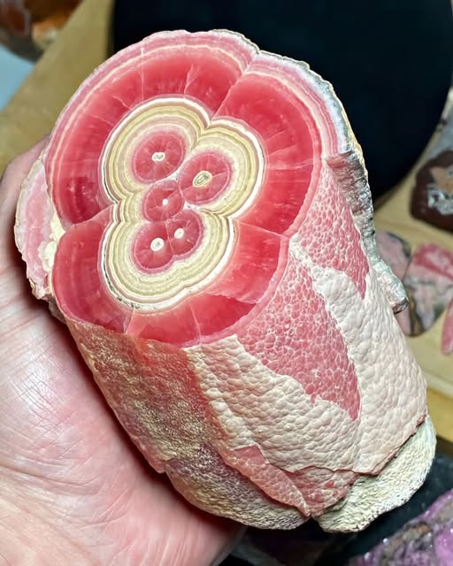 KAF_KellyAF's tweet photo. WOW. Seeing these makes me want to try painting #geodes again. Geodes are always gorgeous and unique but these Rhodochrosite stalactites are incredible!!
#artist https://t.co/SXJBwNdJGI