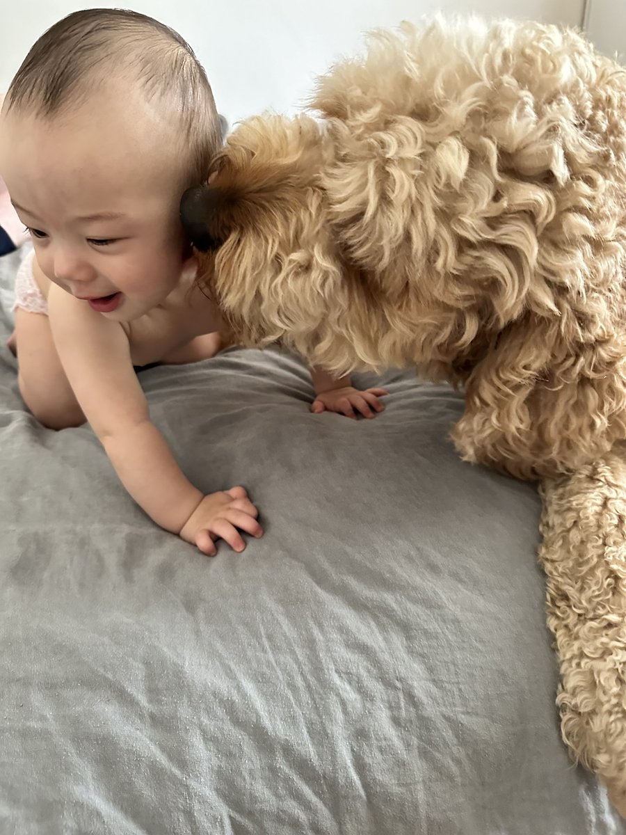 WEHI_research's tweet image. Does having a pet as a kid lower your risk of asthma and eczema?
Dr Samantha Chan & Prof Jo Douglass from the Snow Centre for Immune Health explore the link and science behind this question.
Read more: wehi.edu.au/news/if-you-ha…
Learn more: snowimmunehealth.org.au
@SnowMedical