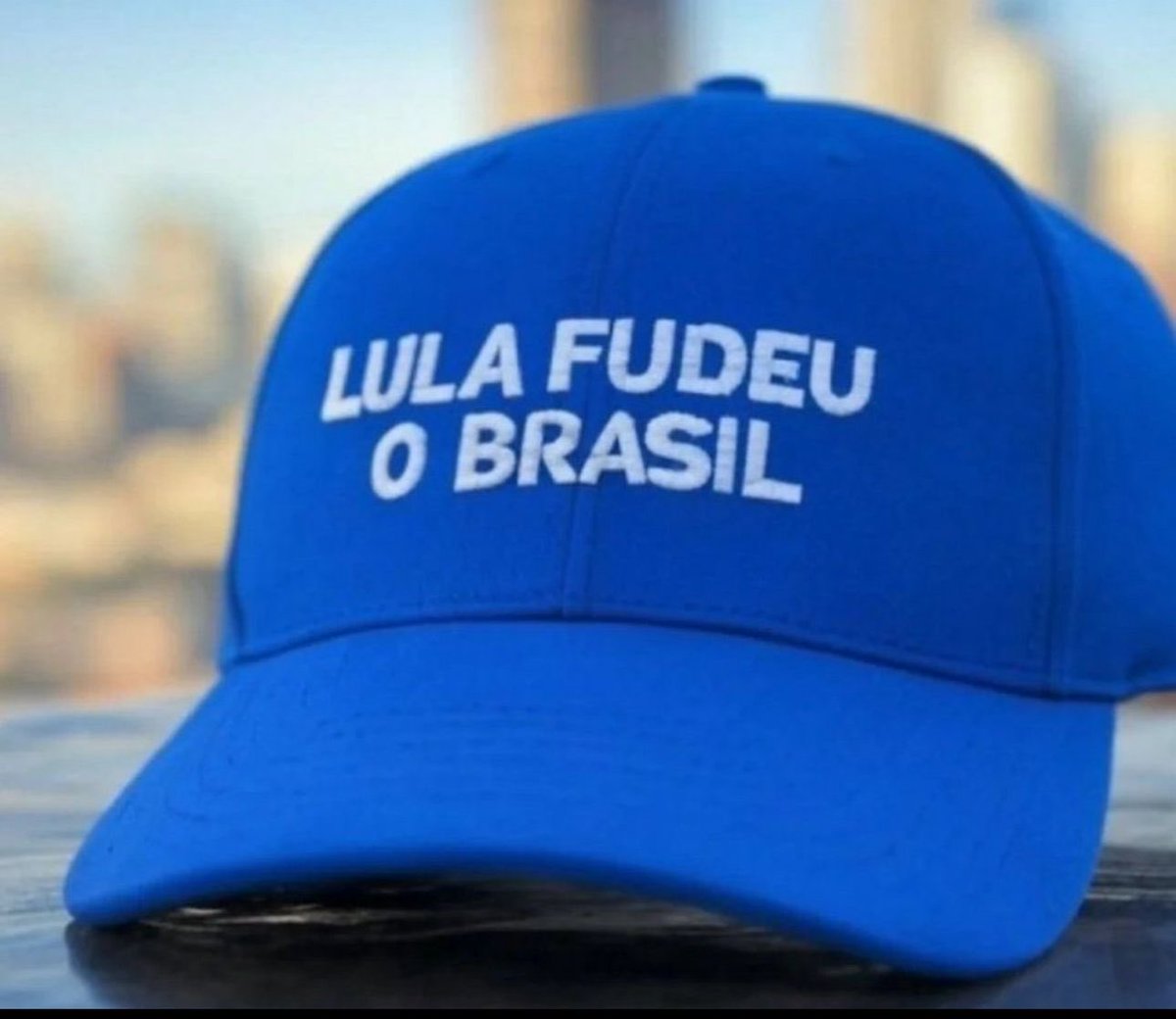 roxmo's tweet photo. E os brasileiros. Incluindo seus eleitores https://t.co/Taio1xMyfr