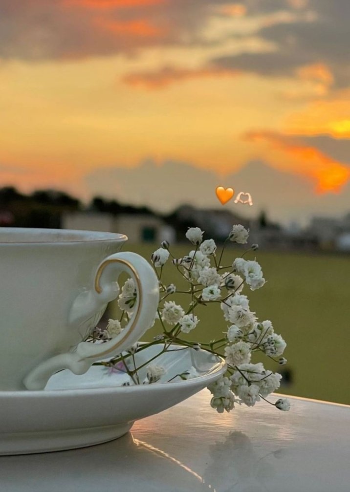 .
صباح الخير،
دع هذا الصباح يكون صفحة بيضاء في كتابك، لا تُثقلها بما مضى، ولا تستعجل ما سيأتي. تأمل اللحظة، وازرع فيها نية صافية، فإن النية وحدها قادرة أن تغيّر مجرى يومك.🌿🌸

.