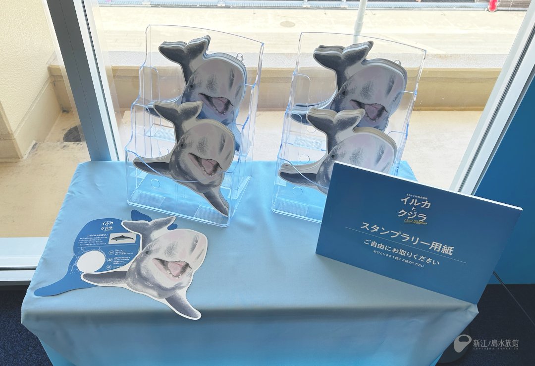 えのすい特別企画展「イルカとクジラ」 🐬スタンプ＆クイズラリー