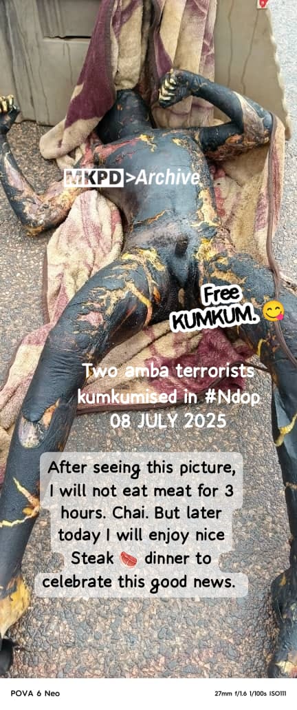 amba_newsline's tweet photo. BREAKING:
Cameroonian colonial forces, trained by U.S. special forces, are continuing to violate the Geneva Conventions and international law by killing civilians in Ngonkutunja, Northern Ambazonia, falsely labeling them as Ambazonia fighters. This comes at a time when Ambaforces in the region have captured a high-ranking Cameroonian military commander at the frontlines, prompting Cameroon to escalate its indiscriminate attacks on Ambazonia civilians. Meanwhile, the international community remains silent on the ongoing conflict between Ambazonia and Cameroon. Biafra and Ambazonia in our blood.
@AUC_PAPS @DepSecDef
@AsstSecStateAF @SenateForeign 
@FRauCameroun @USEmbYaounde @UKinCameroon @Sebastien_Nadot @UN @UnCameroon @CanadaCameroon @CanadaFP @OchaCameroon @antonioguterres @TiborPNagyJr @CohenOnAfrica  @PR_Paul_BIYA @volker_turk @norwaygov_rx @NorwayMFA @NRC_Norway @EspenBarthEide   @UNHumanRights  @AHuitfeldt @norwaygov_rx @NorwayMFA @NorwayPolice1 @EspenBarthEide @NorwayMFA  @UNHumanRights @NRC_Egeland @EmilyThornberry @KarimKhanQC @realDonaldTrump @mrubin1971 @SecRubio @StateDept @amnesty @hrw @ilariallegro @mats56455 @EGerasouli35992 @DeputySecState @VMarsai  @MattWoods_UK  @DrJPPham @SenatorRisch, @GlobalReachDC, @Aboehler