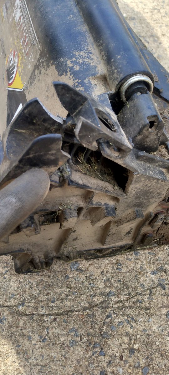 ToBeDetermined tweet media