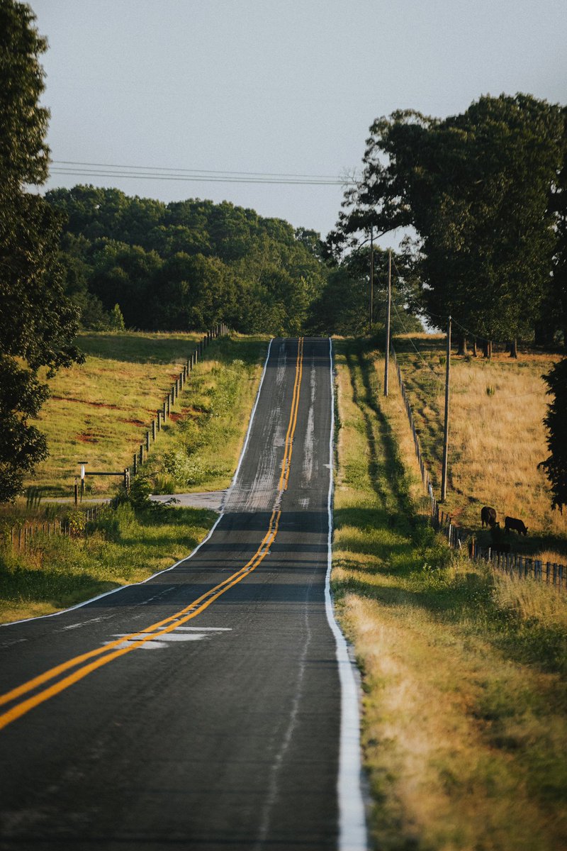 J_Reeves15's tweet image. Firetower Road - used to drive this every day for years in my 2000 Jeep Cherokee...haven't been back in forever. Nothing but rolling hills and cow fields on all sides. Hasn't changed a bit. Kinda cool to take a camera and find beauty in places that used to be so mundane to me