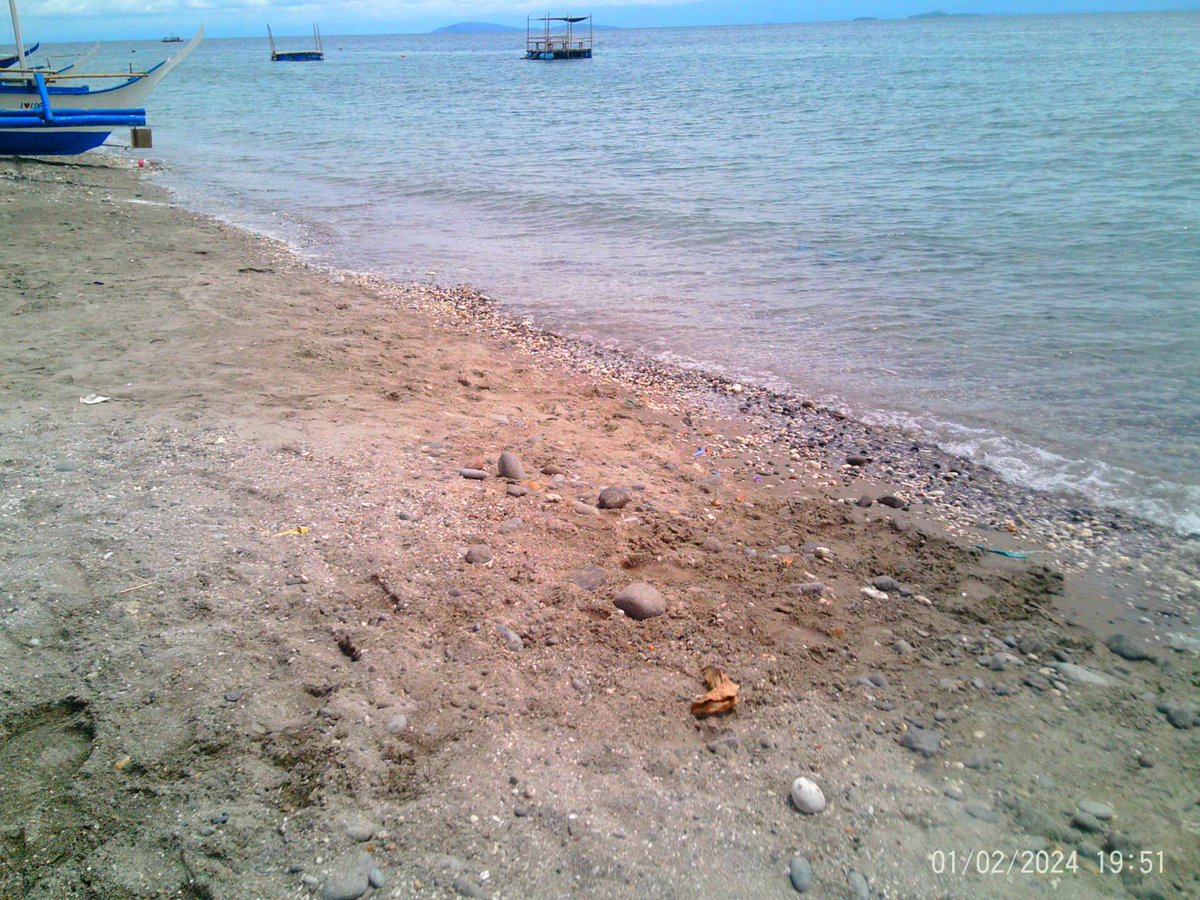 smol tweet media