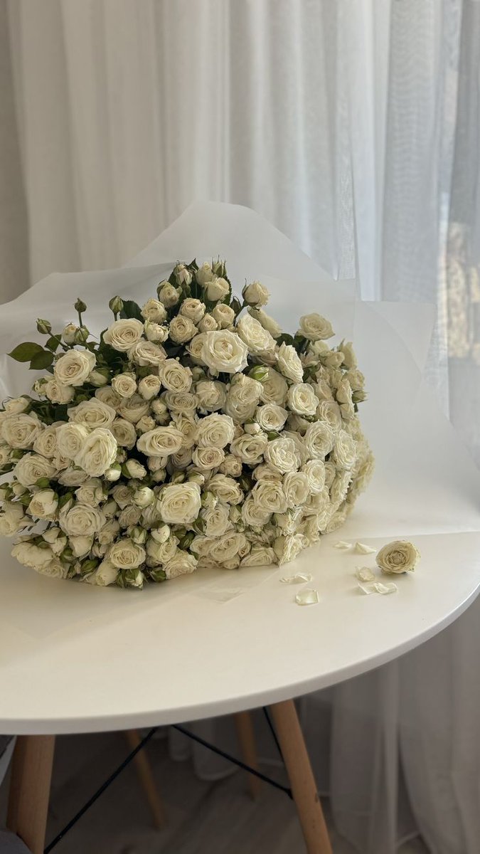 Flowers (@flowers489) on Twitter photo 