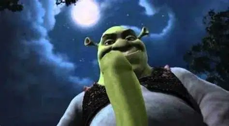eazyplayz_'s tweet image. ayo who up shrekin they shrock?