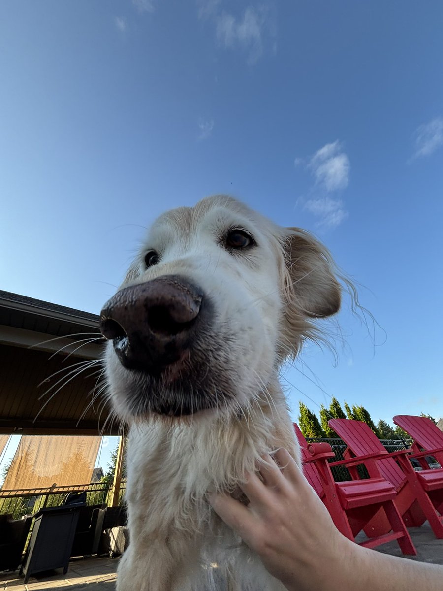 Strykerr tweet media