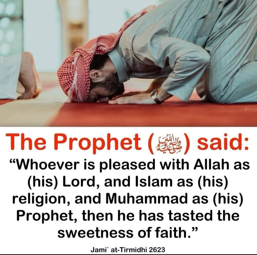 Bala3Usman's tweet photo. Hadith Of The Day✅📌 https://t.co/GZ82F06ww4