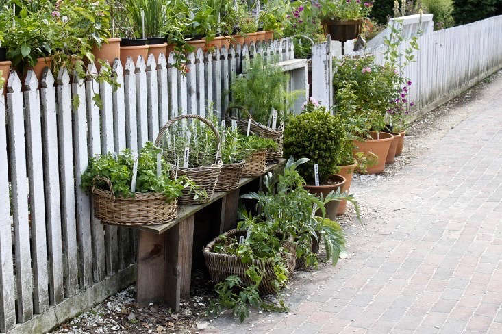 latanyablackmon's tweet photo. Designing an herb garden is quick and rewarding! 🌿✨

Get tips on creating your own and discover must-grow herbs to add to your garden.

#HerbGarden #Gardening #GardeningTips #GrowYourOwn #FreshHerbs
 https://t.co/Yeo7XGqqcd https://t.co/kdBfIX6L8O