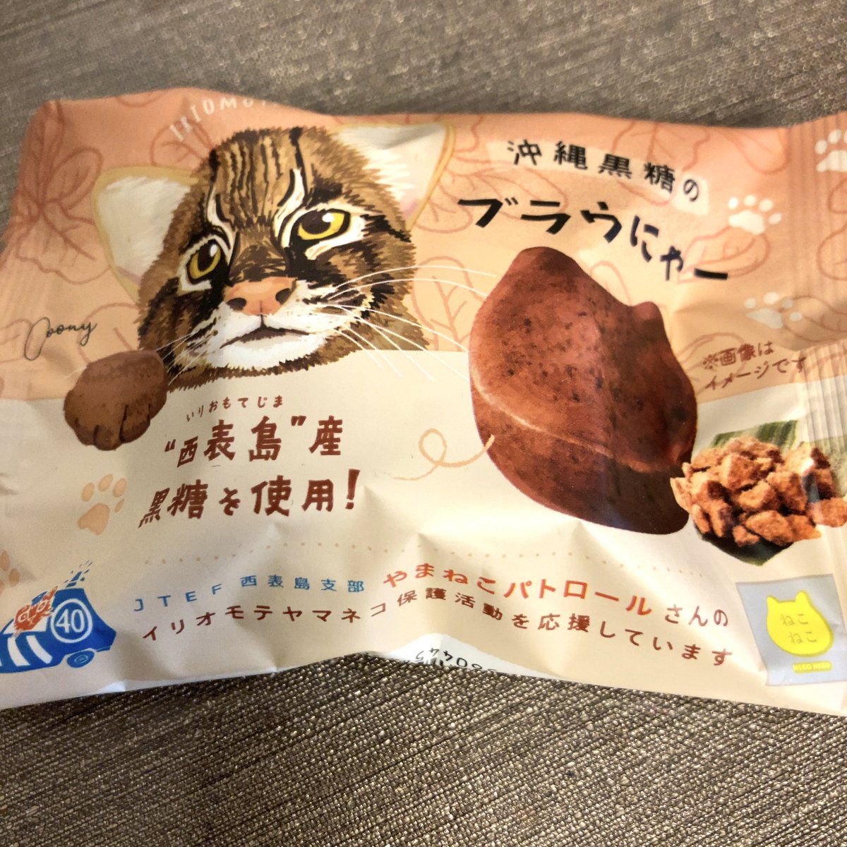西表山猫 西表山猫-西表猫- 动物Top