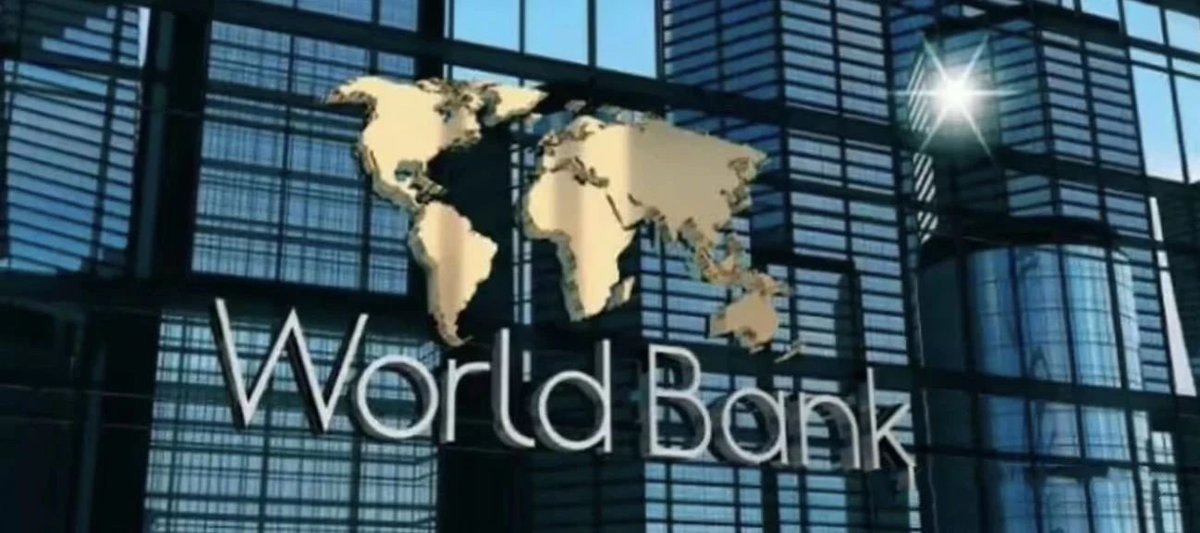 Gfforce Lab tweet media