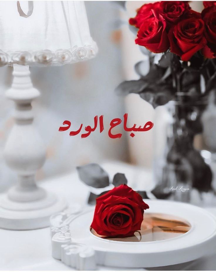 .

يسعد صباحكم بكل خير
اللهم في هذا الصباح نسألك صدق التوكل عليك وحسن الإعتماد عليك وقوة اليقين بك ؛اللهم سخر جوارحنا لطاعتك ؛ واملأ قلوبنا بحبك

.🍂 🌧️
