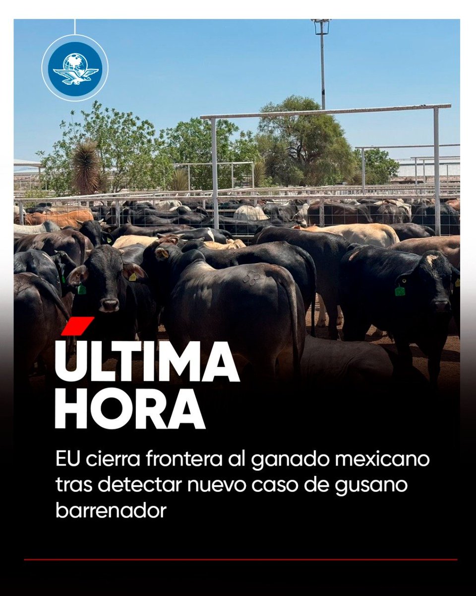 #ÚLTIMAHORA 🚨 La secretaria de Agricultura de EU, Brooke L. Rollins, anuncia el cierre “inmediato” de la frontera al paso de ganado vivo, bisontes y caballos procedentes de México, tras detectarse otro caso de gusano barrenador en Veracruz.
👉 tinyurl.com/mr2257r6