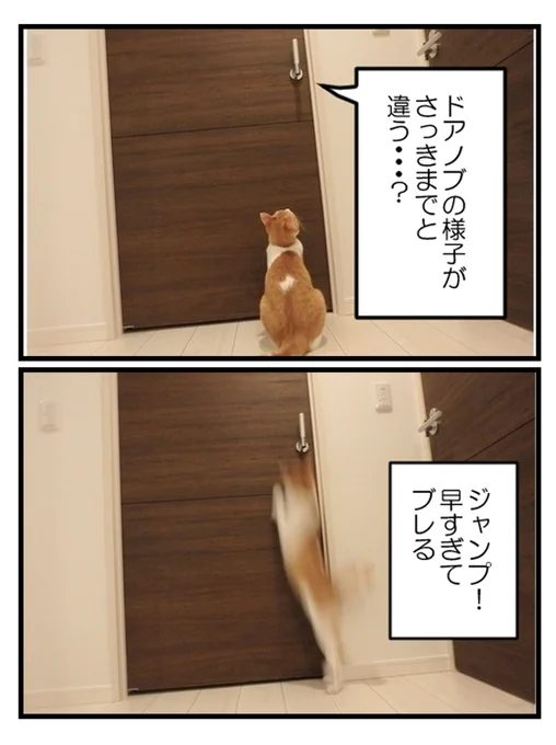 (3/3) 