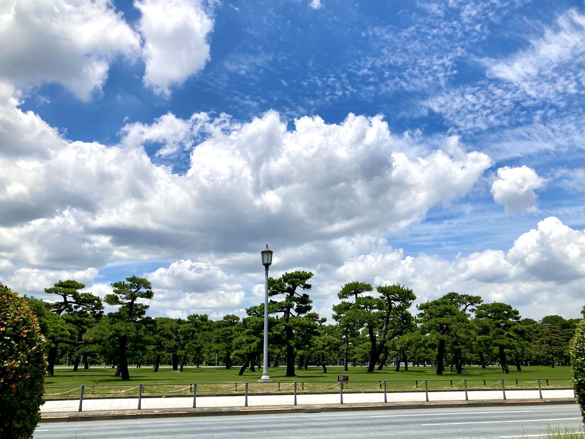 おはようございます！
東京都港区は晴れ☀️

皇居前！夏ッ！！

体調に気をつけつつ
1日頑張って参りましょう！

#企業公式が毎朝地元の天気を言い合う 
#企業公式が朝の挨拶を言い合う 
#企業公式相互フォロー