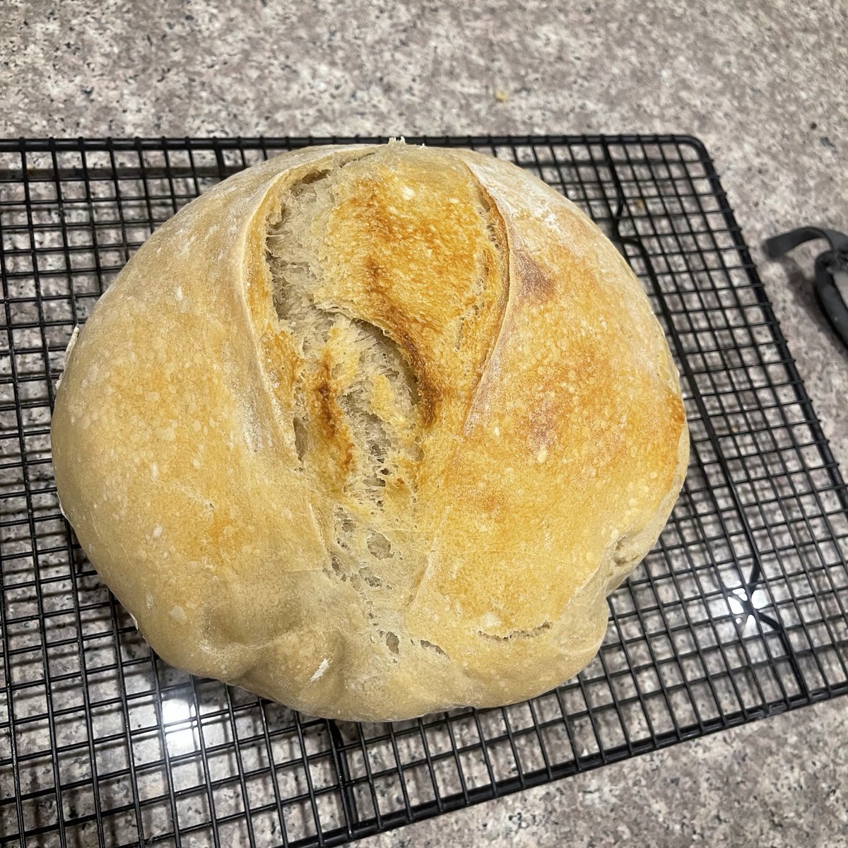 So this is probably a flop🙃

This is my first time and I’m learning as I go. I can’t cut into it yet so I probably will in the morning. But I already know the inside of it ain’t gonna be good. I’m not sure. Maybe it will, maybe it won’t. We will see. 

Btw this is exhausting🤣