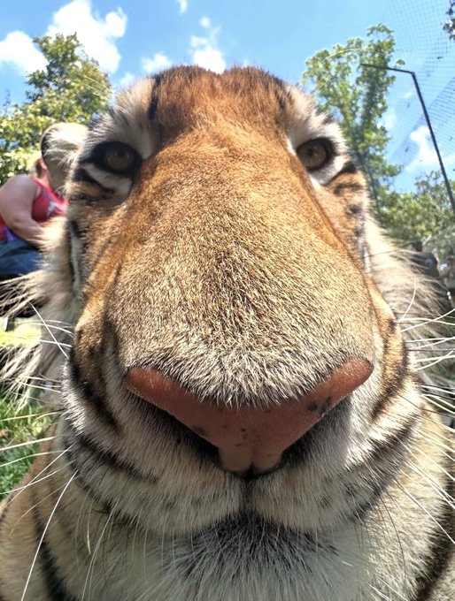 Goodnight. Decent day +9 sol. 
need to get better thooooo